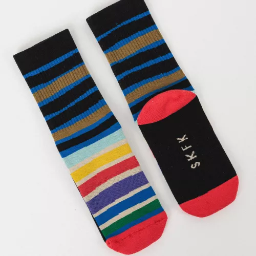 Chaussettes EPEL rayures multicolores