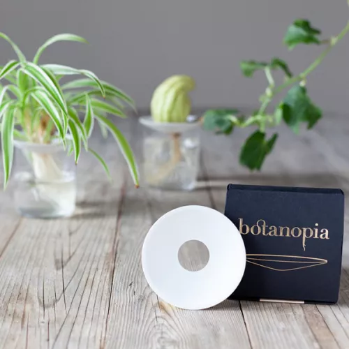 Coupelle de germination, taille L